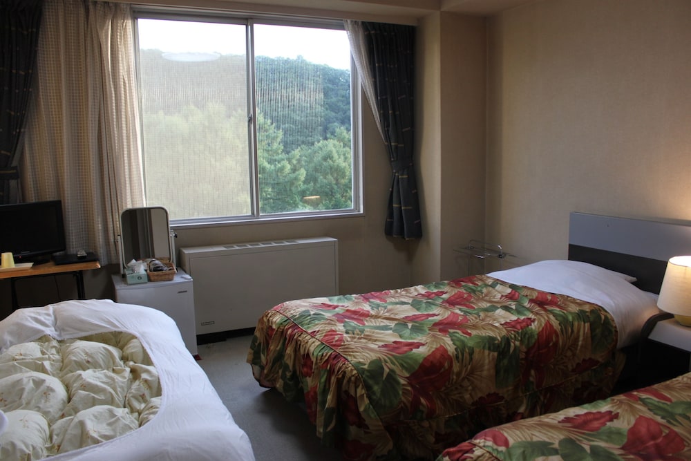 Basic Triple Room