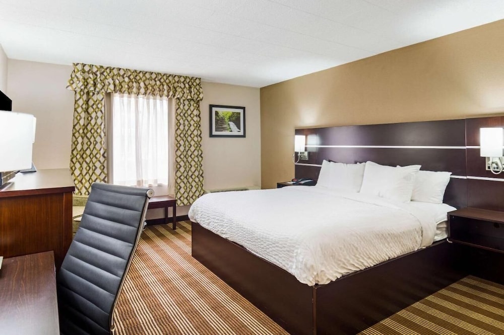 Single Room, 1 King Bed, Non Smoking