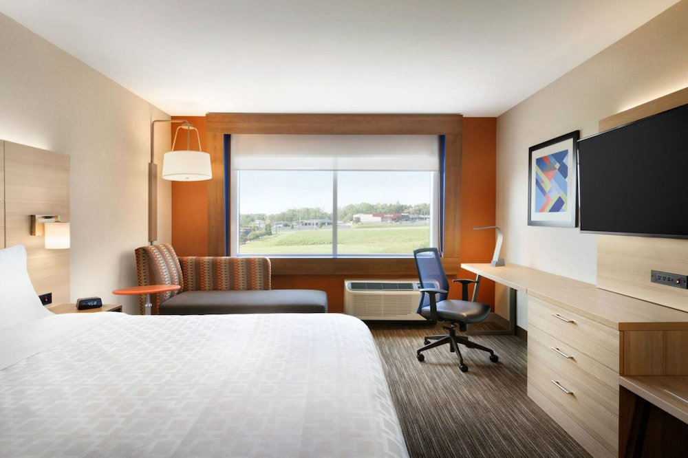 Suite, 1 King Bed with Sofa bed