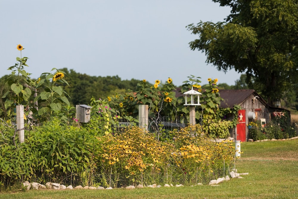 Applesauce Inn B&B