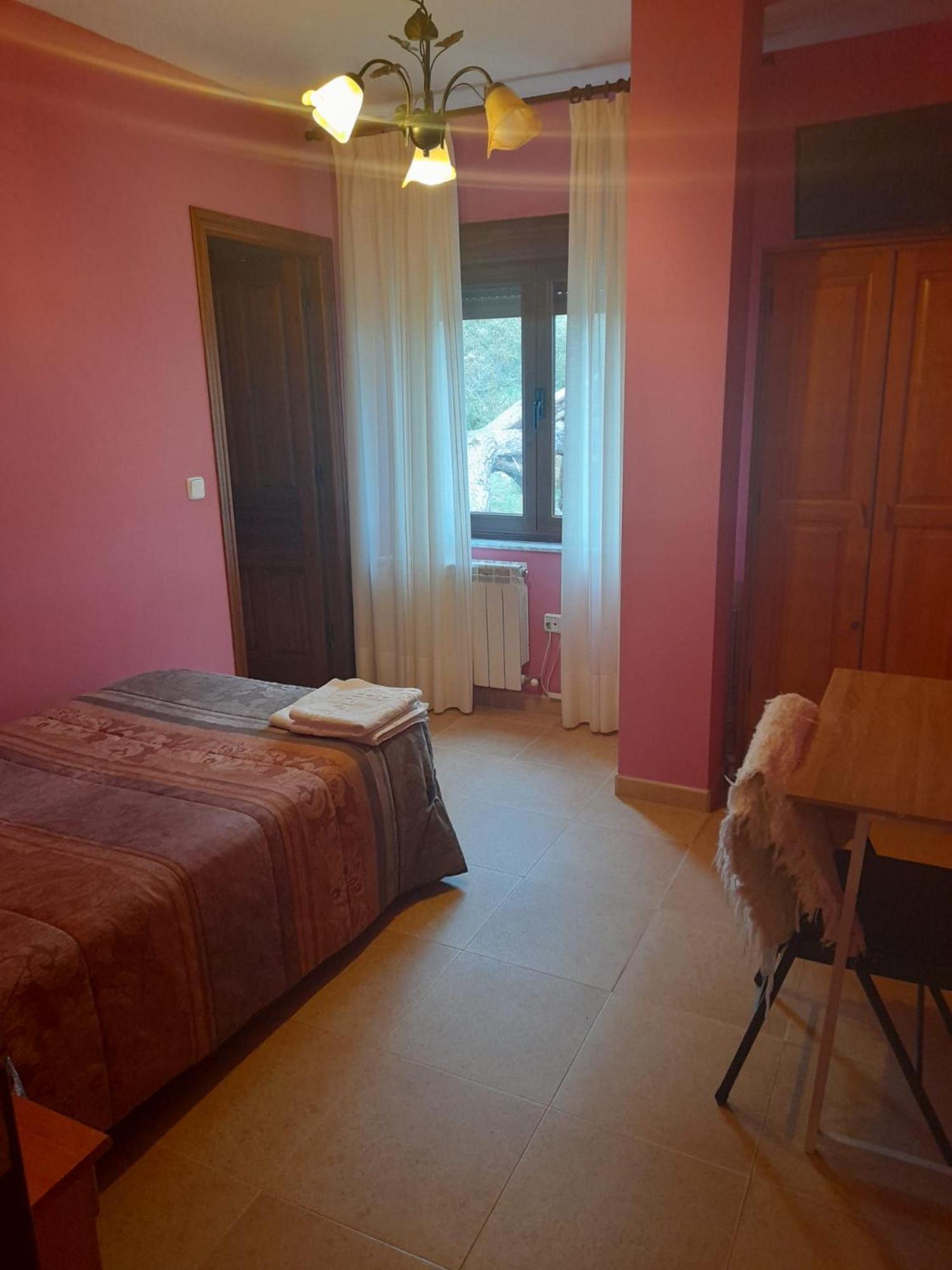 Budget Single Room