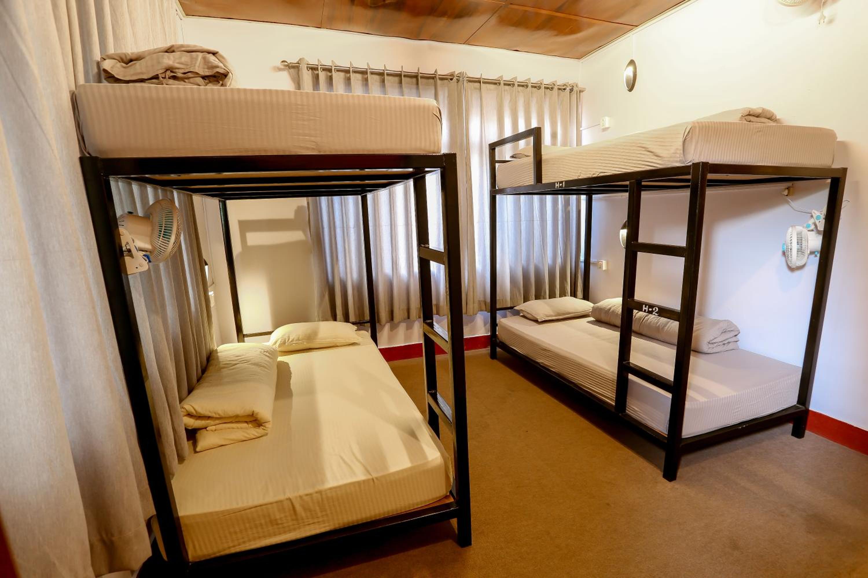 Bed in 4-Bed Mixed Dormitory Room