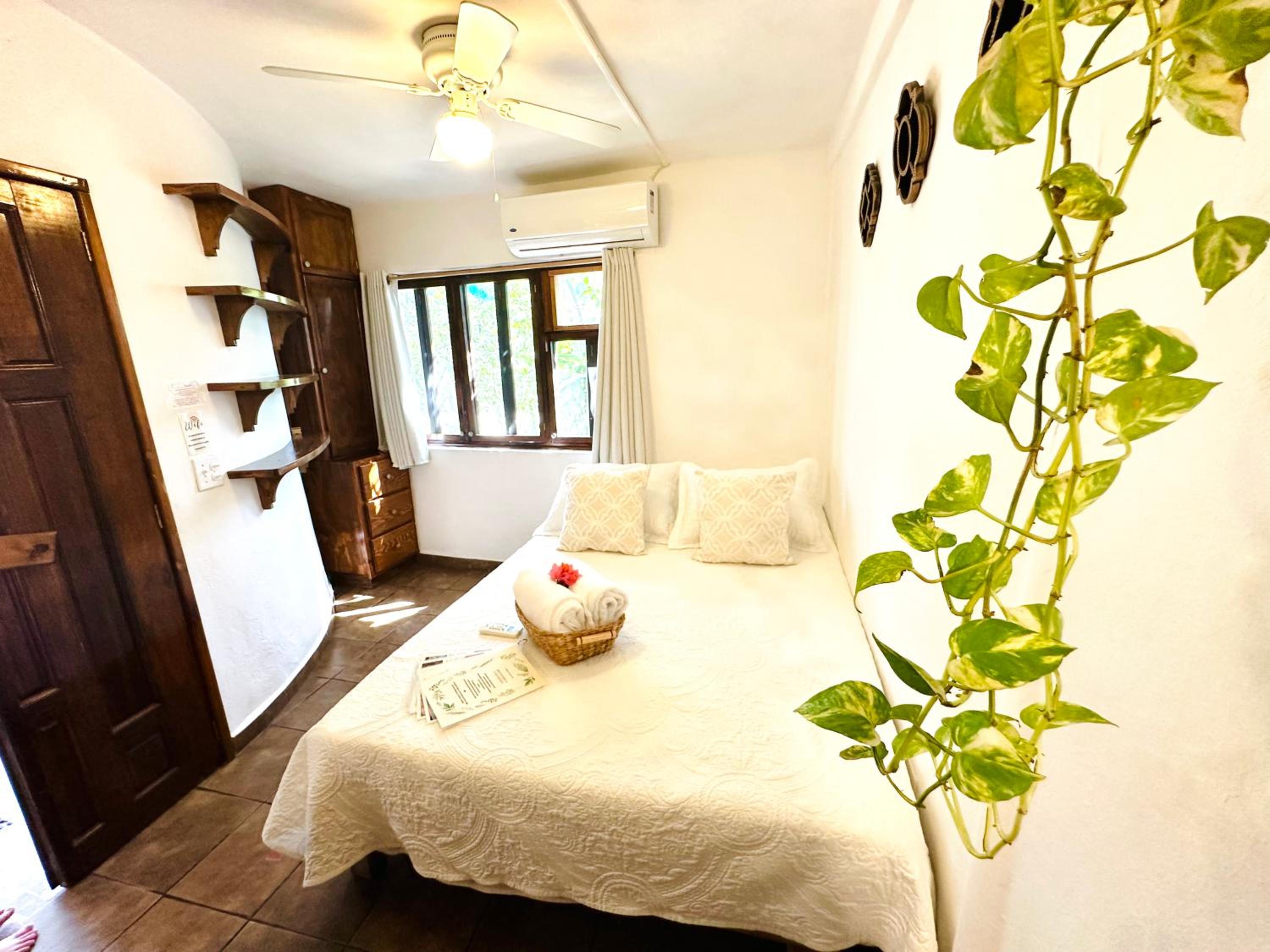 Studio with Garden View