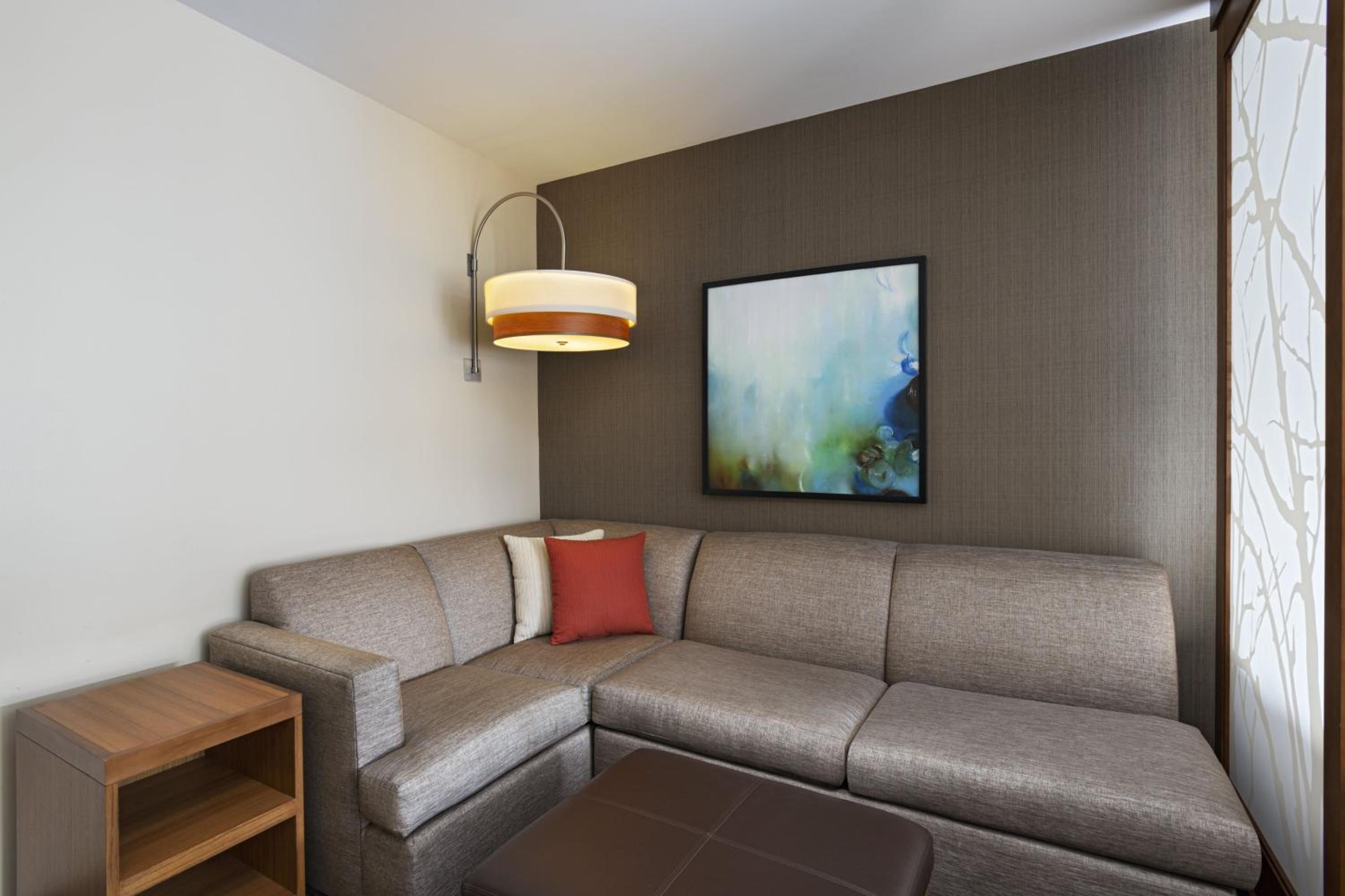 Specialty King Room with Sofa Bed