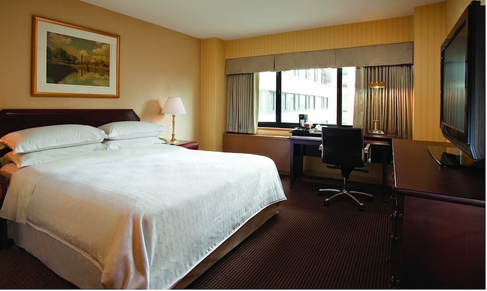 Standard Room, 1 King Bed, Accessible Bathtub (Mobility)