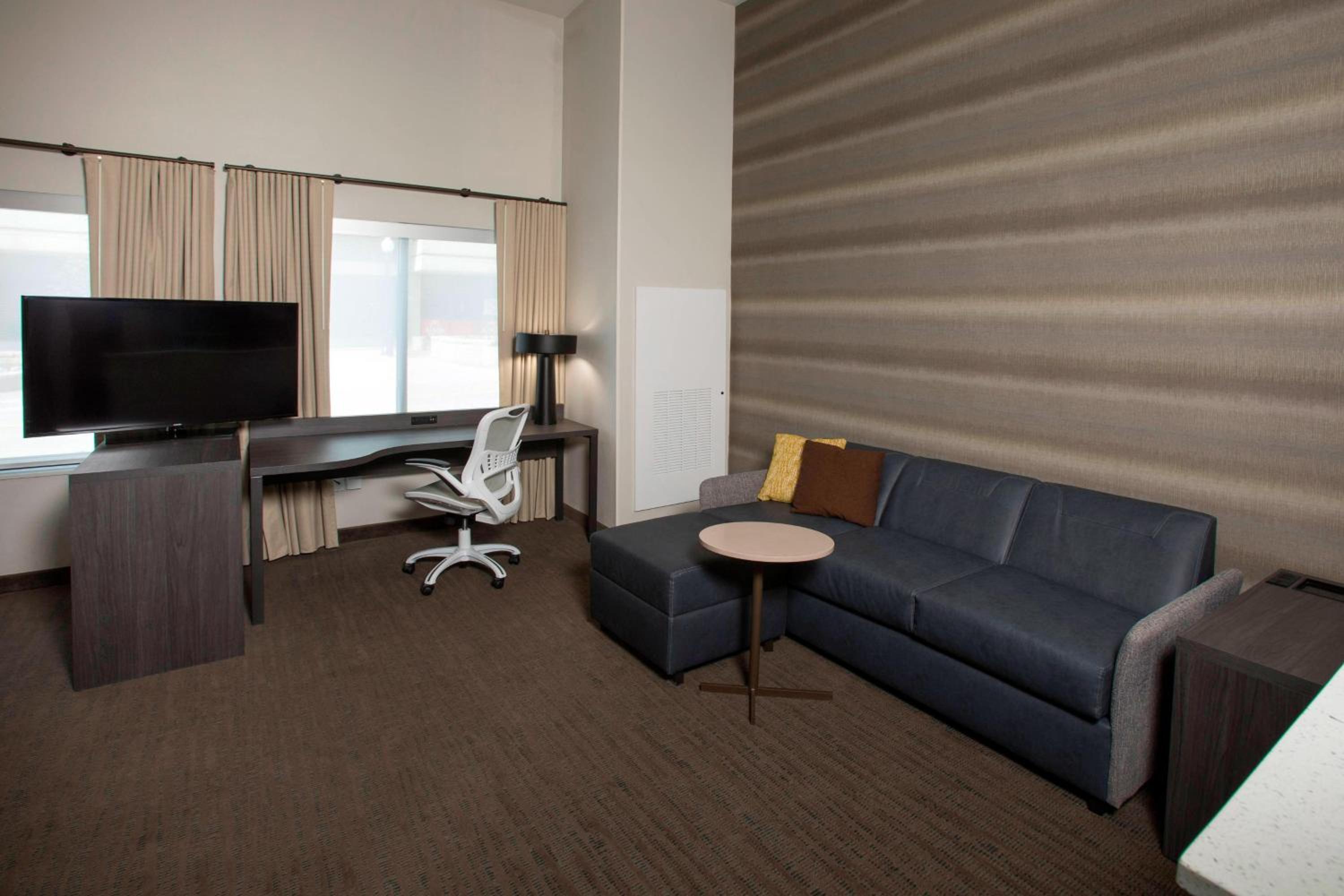 King Studio with Sofa Bed and City View - Mobility Accessible with Roll-in Shower