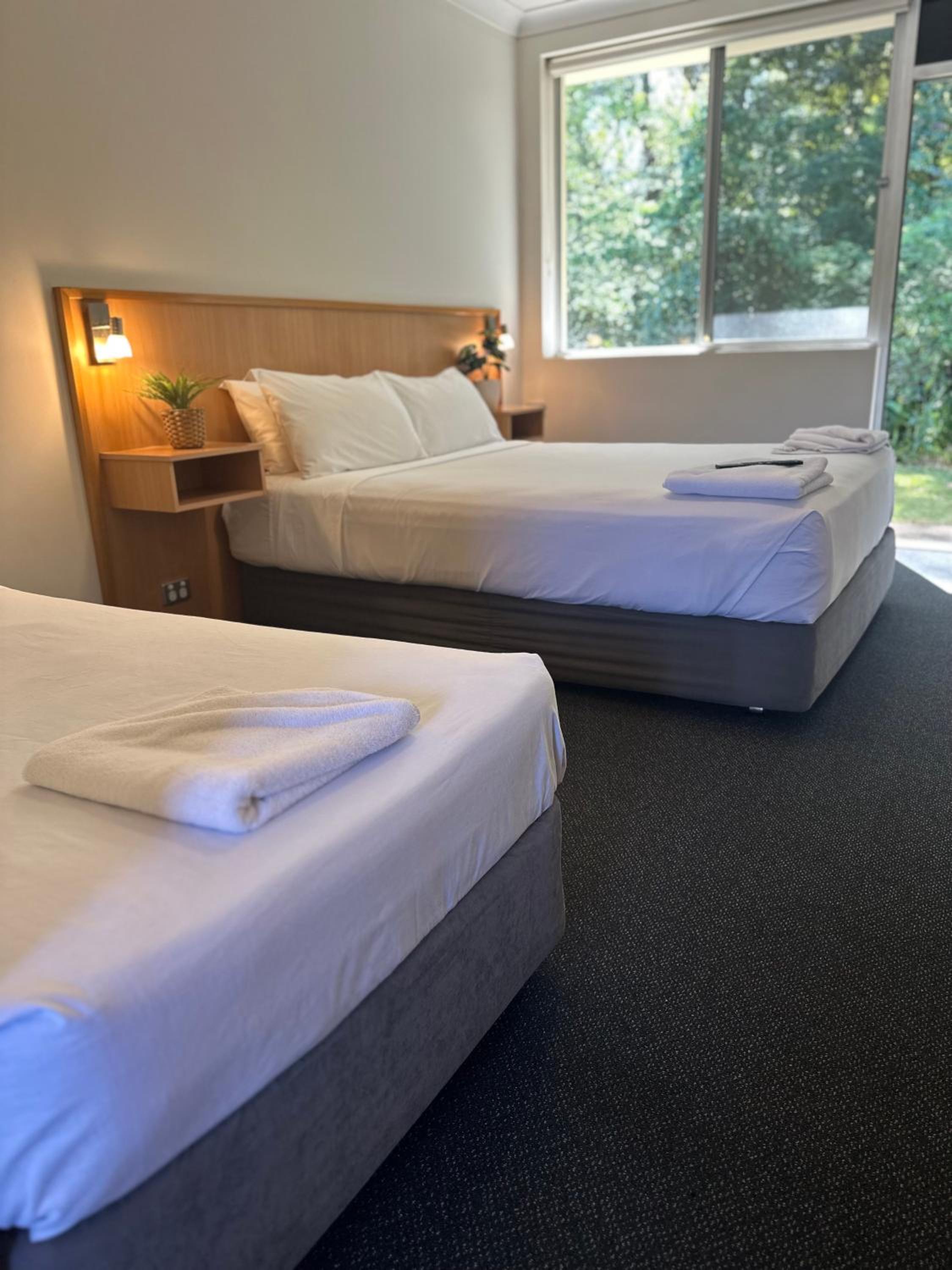Basic Triple Room