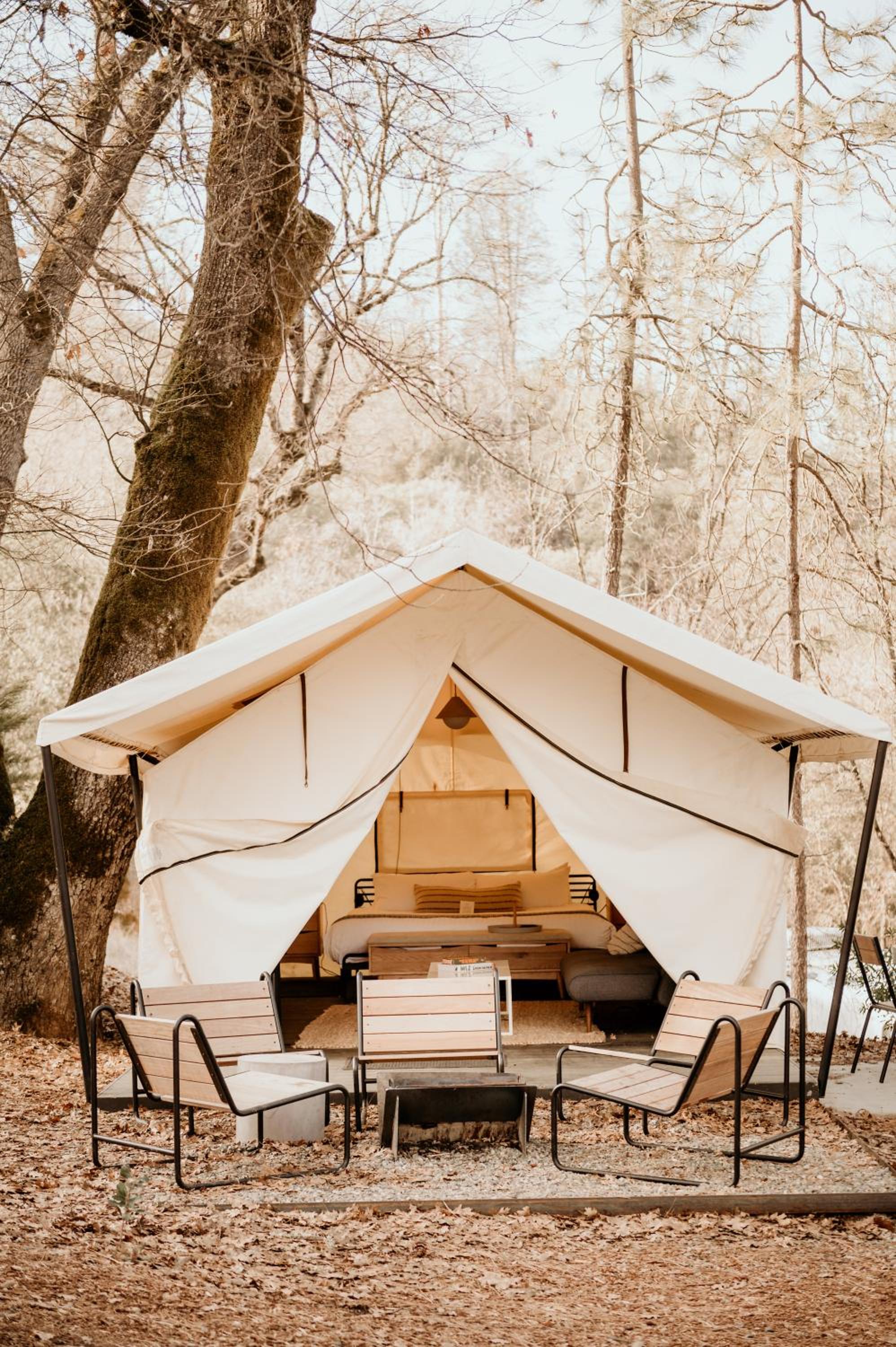 Premium BaseCamp Suite