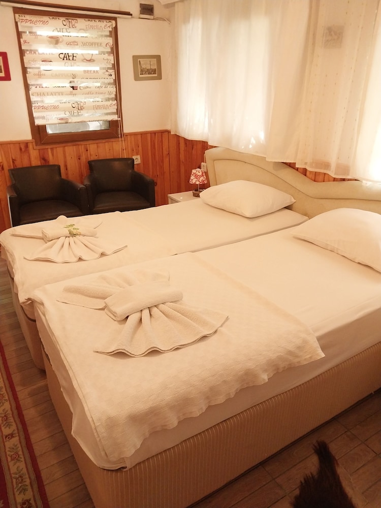Economy Cabin
