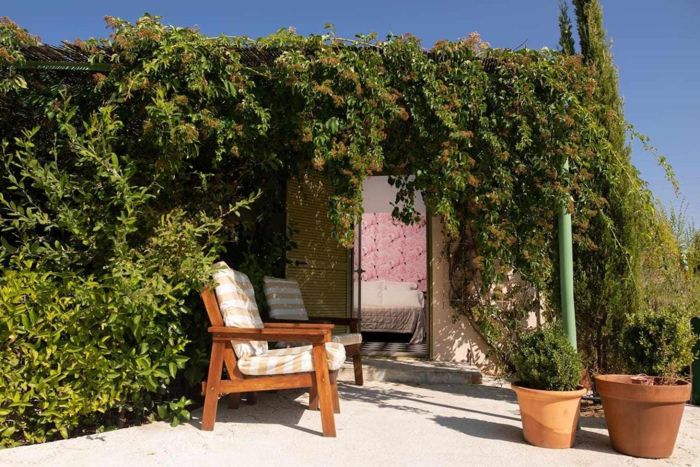 Double Room with Terrace