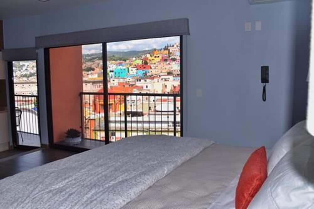 Panoramic Studio Suite (Plus)