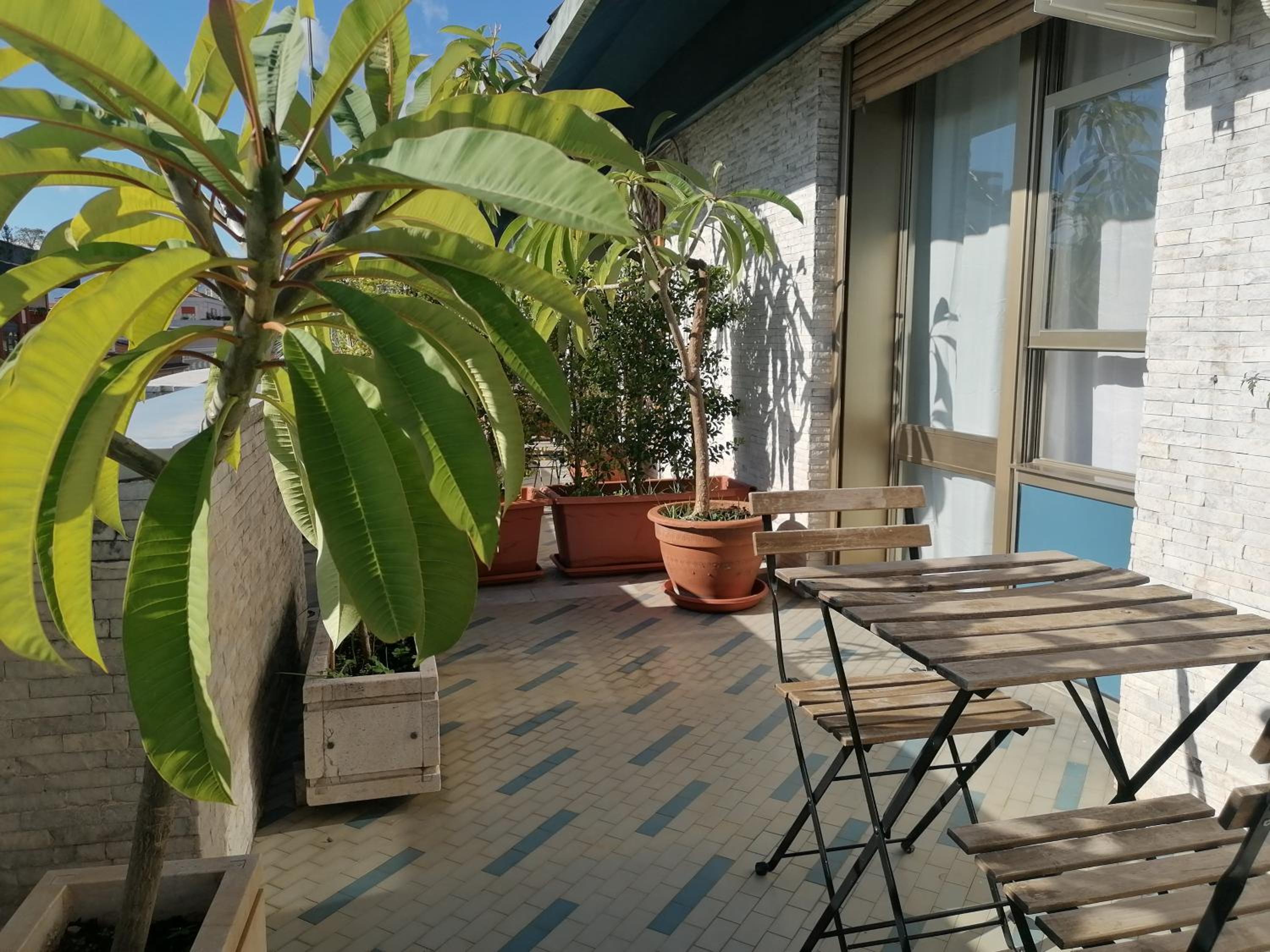 Double or Twin Room with Terrace