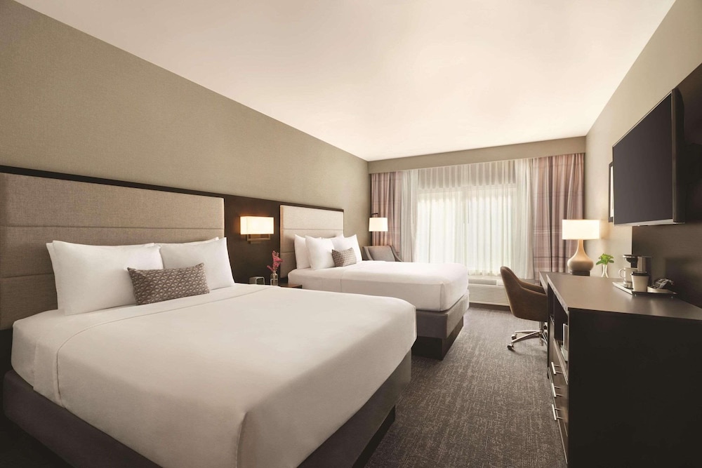 Suite, Multiple Beds, Non Smoking