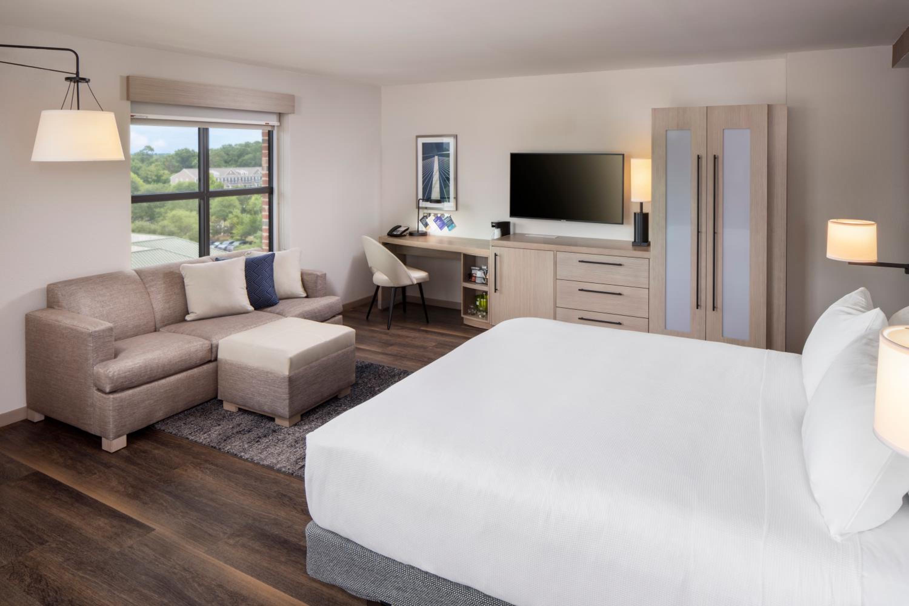 King Room with Sofa Bed