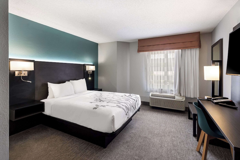 Room, 1 King Bed, Non Smoking