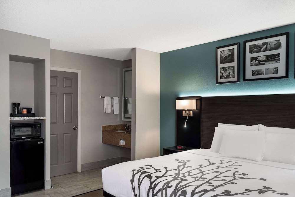 Room, 1 Queen Bed, Non Smoking