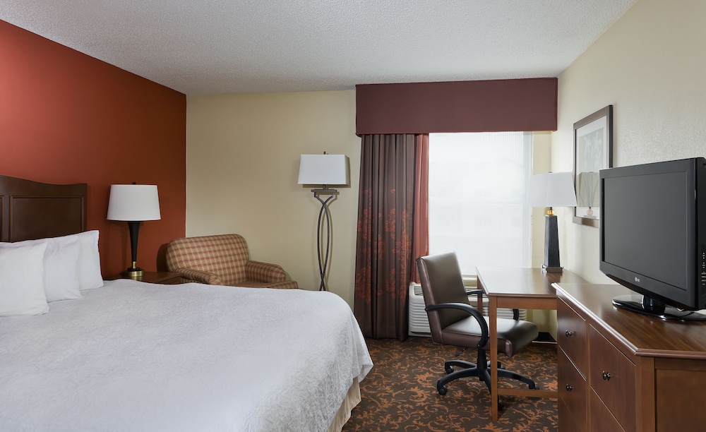 Room, 1 King Bed, Accessible, Non Smoking