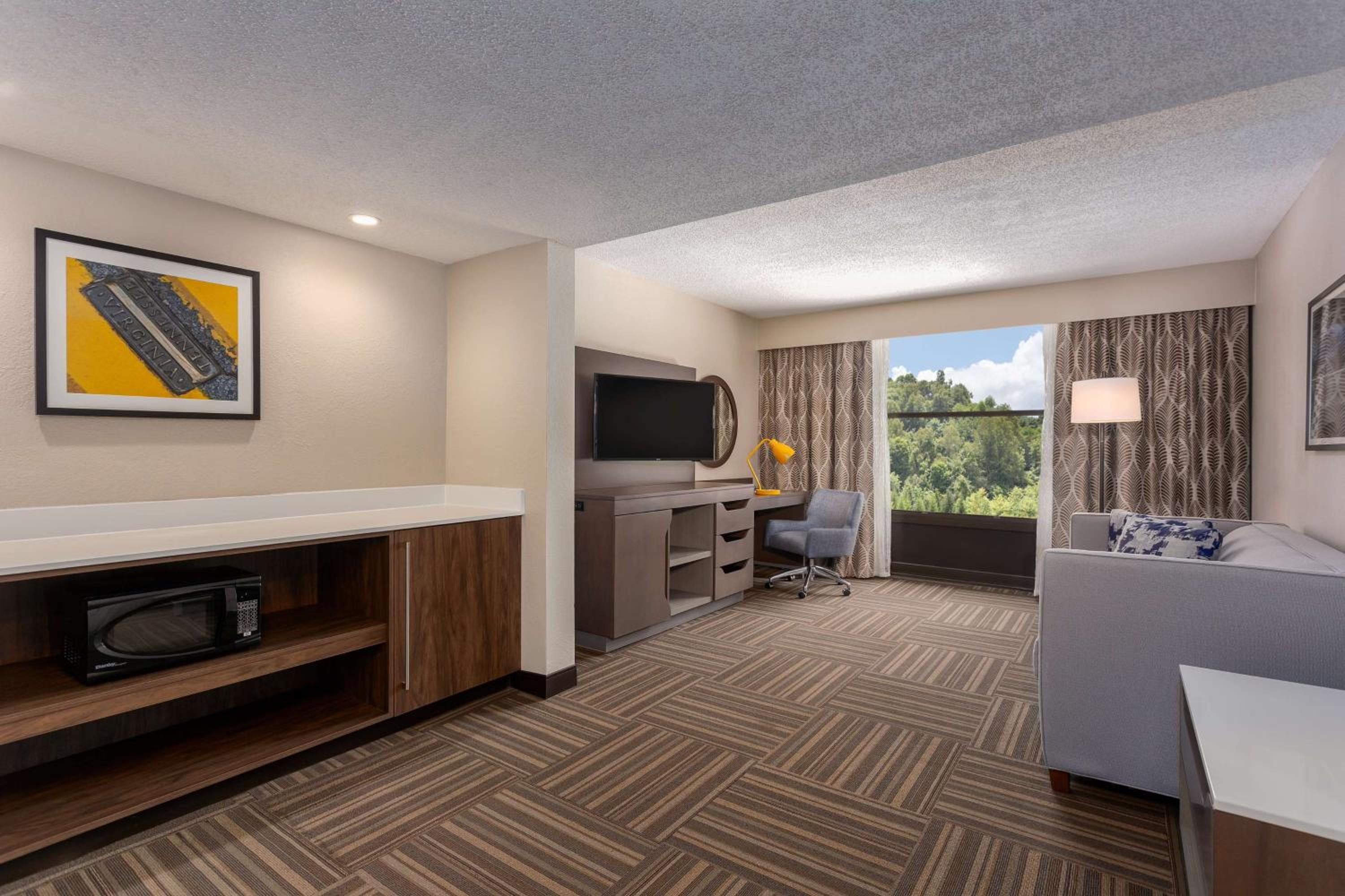 One-Bedroom King Suite - Non-Smoking