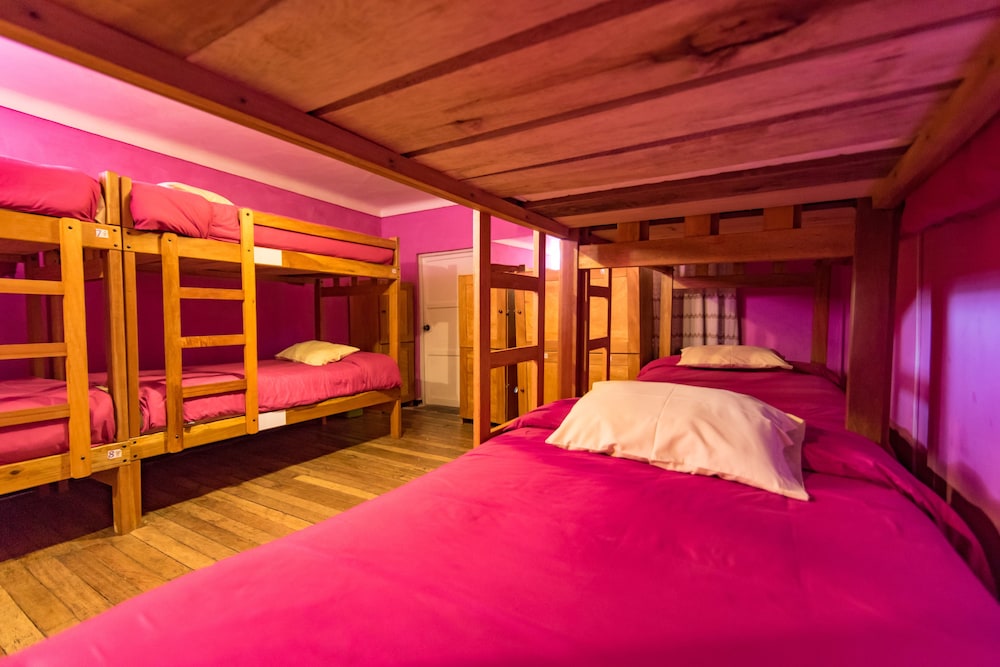 Shared Dormitory, Mixed Dorm (12-beds)