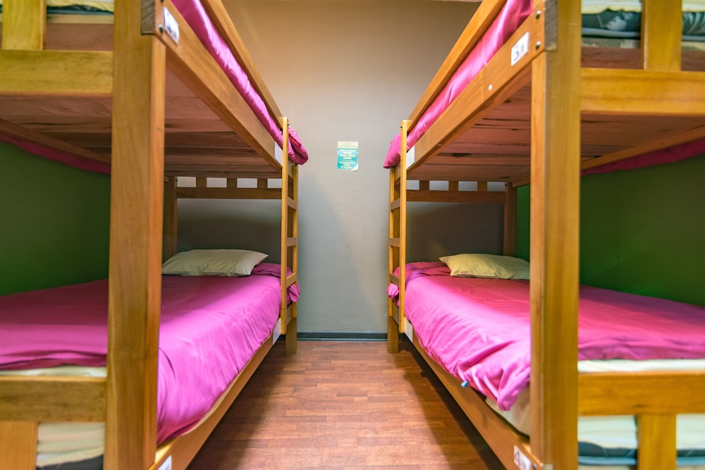 Shared Dormitory, Mixed Dorm (4-beds)