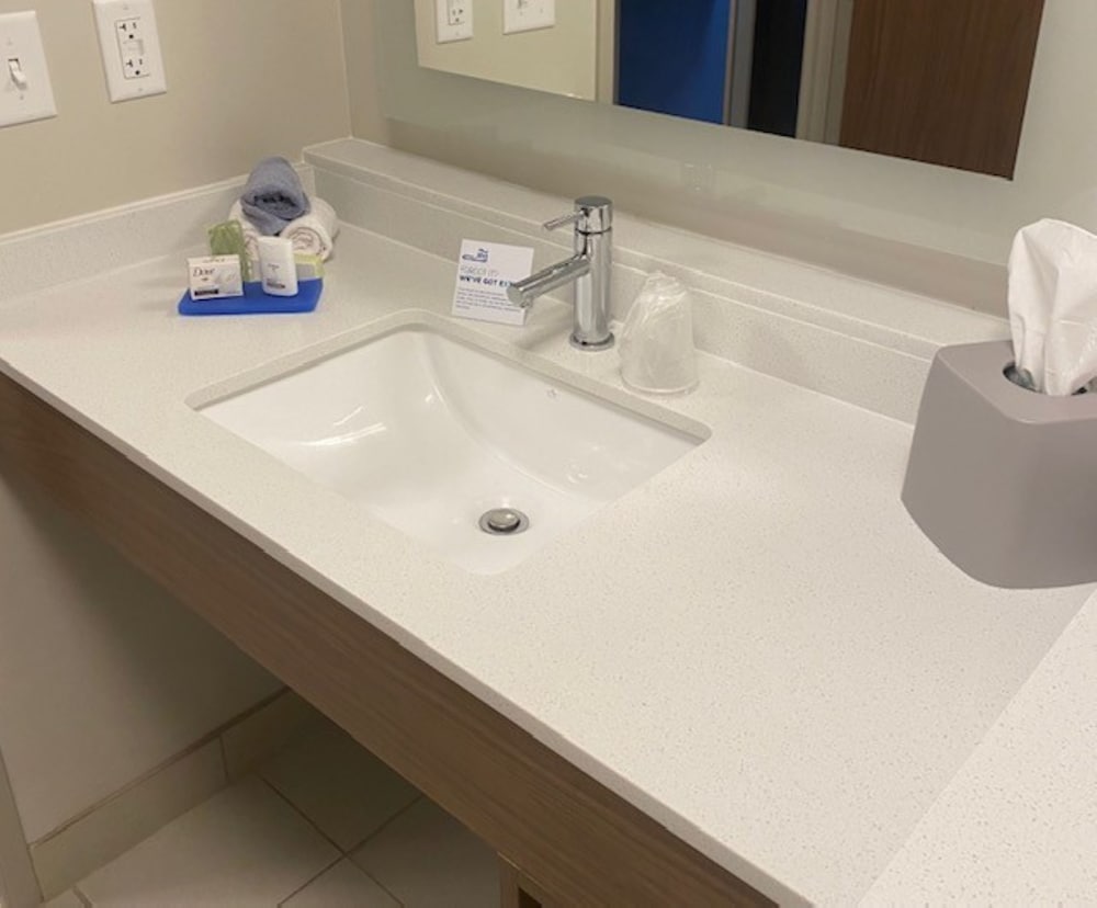 Suite, 1 King Bed, Accessible (Communications, Roll-In Shower)