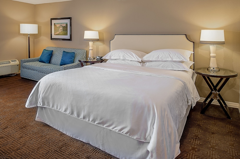 Premium Room, 1 King Bed with Sofa bed