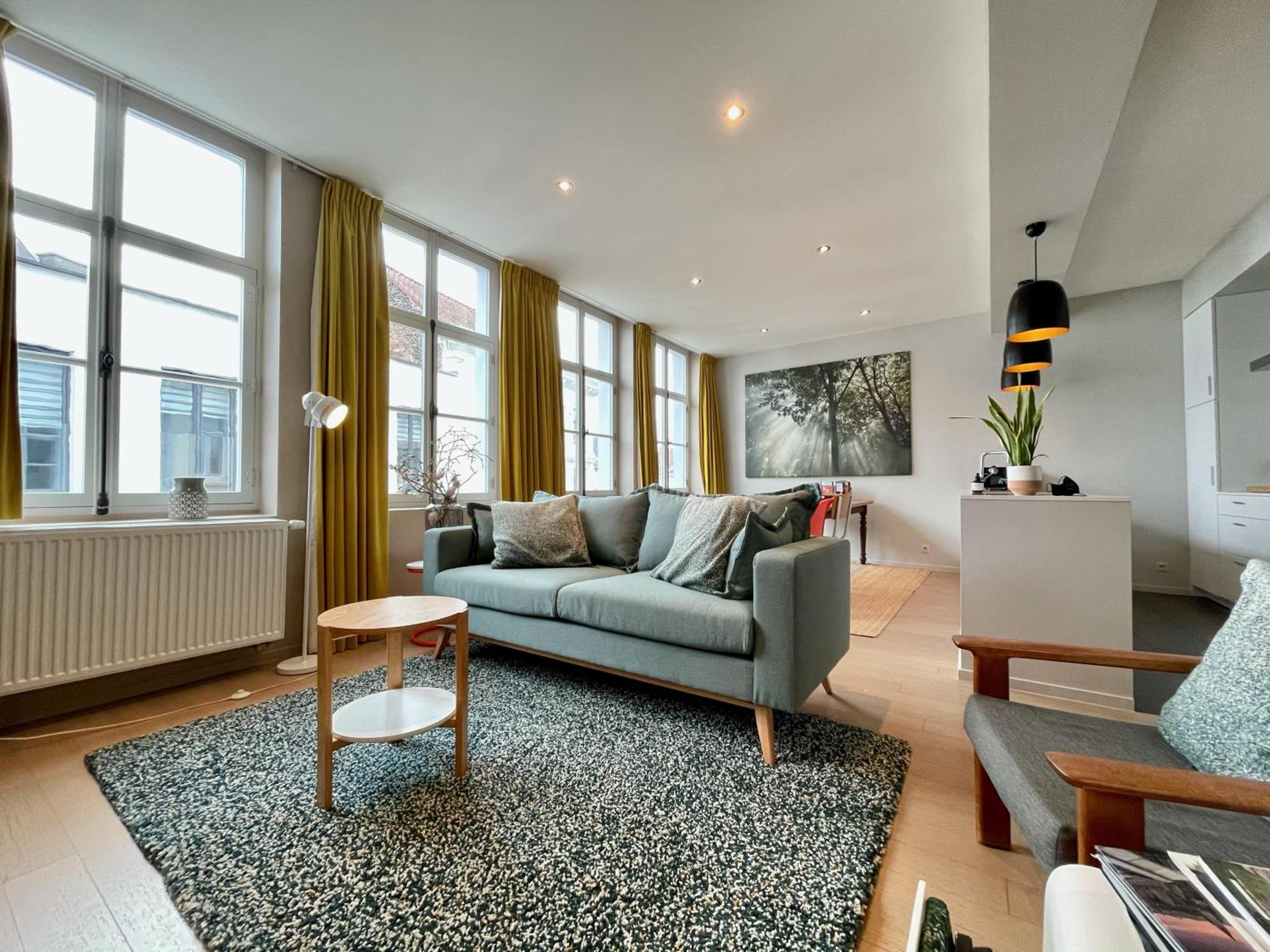 Deluxe Apartment