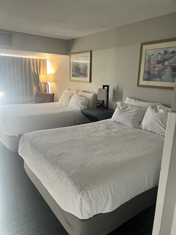 Superior Double Room, 2 Queen Beds, Mountain View