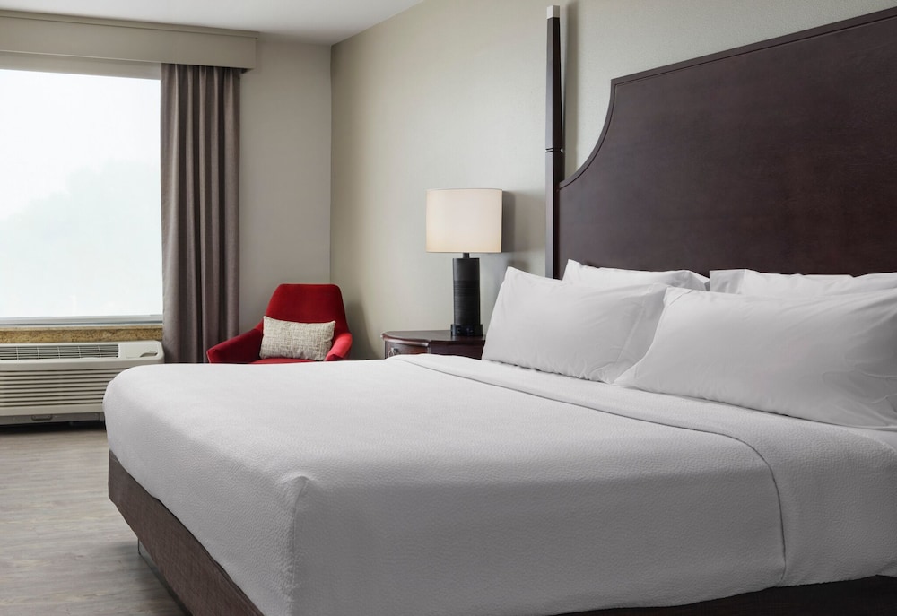 Suite, Accessible, Bathtub