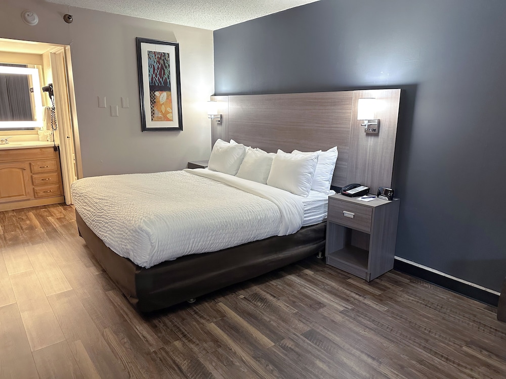 Suite, 1 King Bed with Sofa bed, Non Smoking