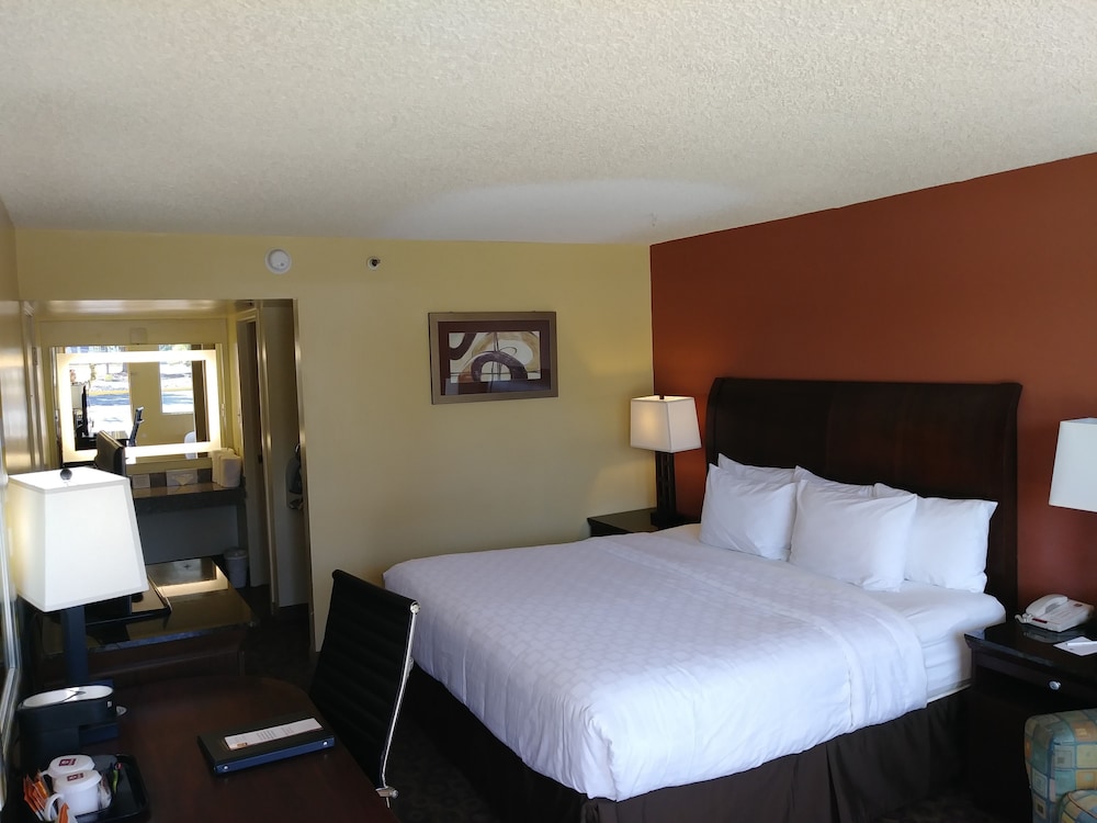 Room, 1 King Bed, Non Smoking