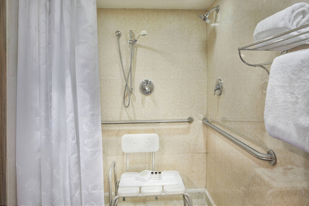 Room, 1 King Bed (Mobility/Hearing Access, Roll-In Shwr)