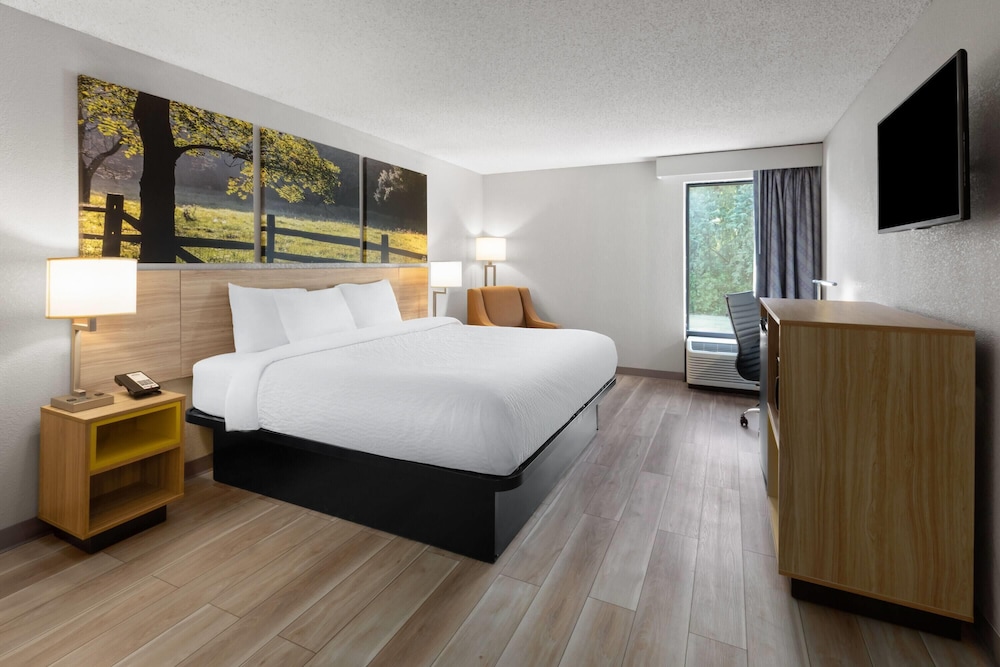 Room, 1 King Bed, Non Smoking