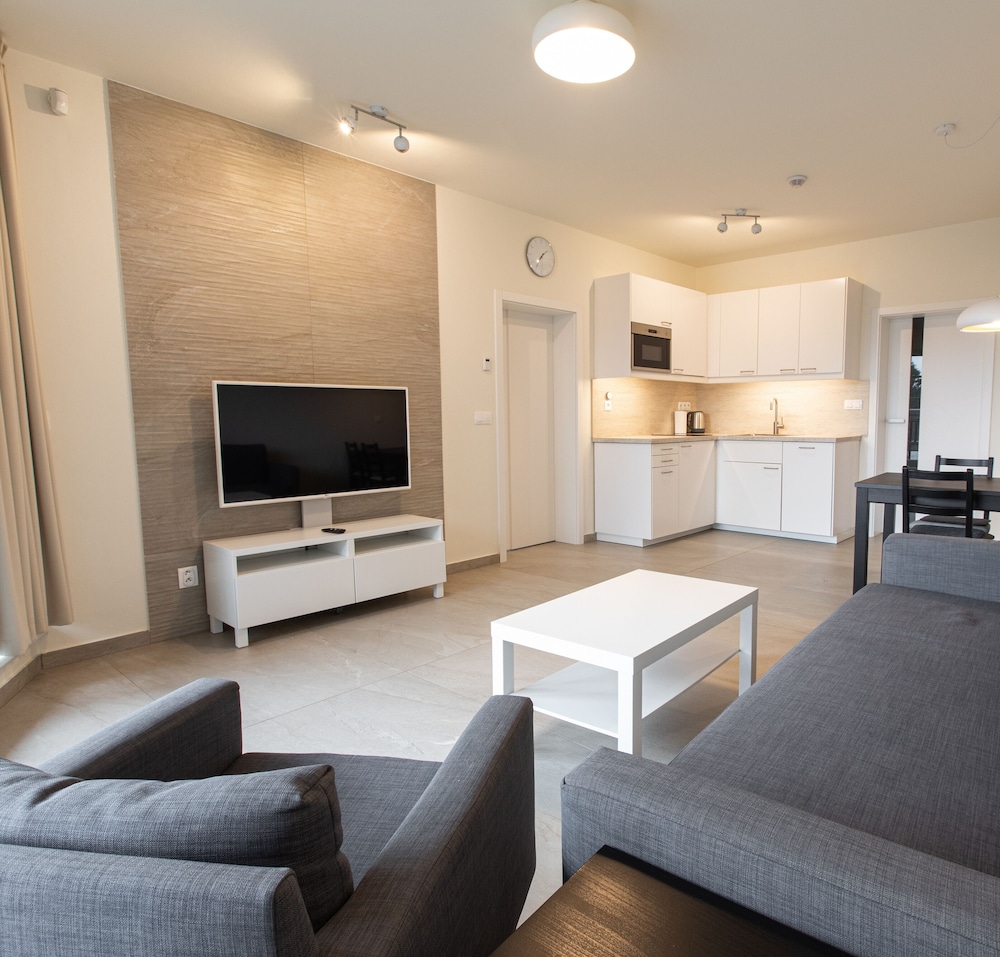 Luxury Apartment