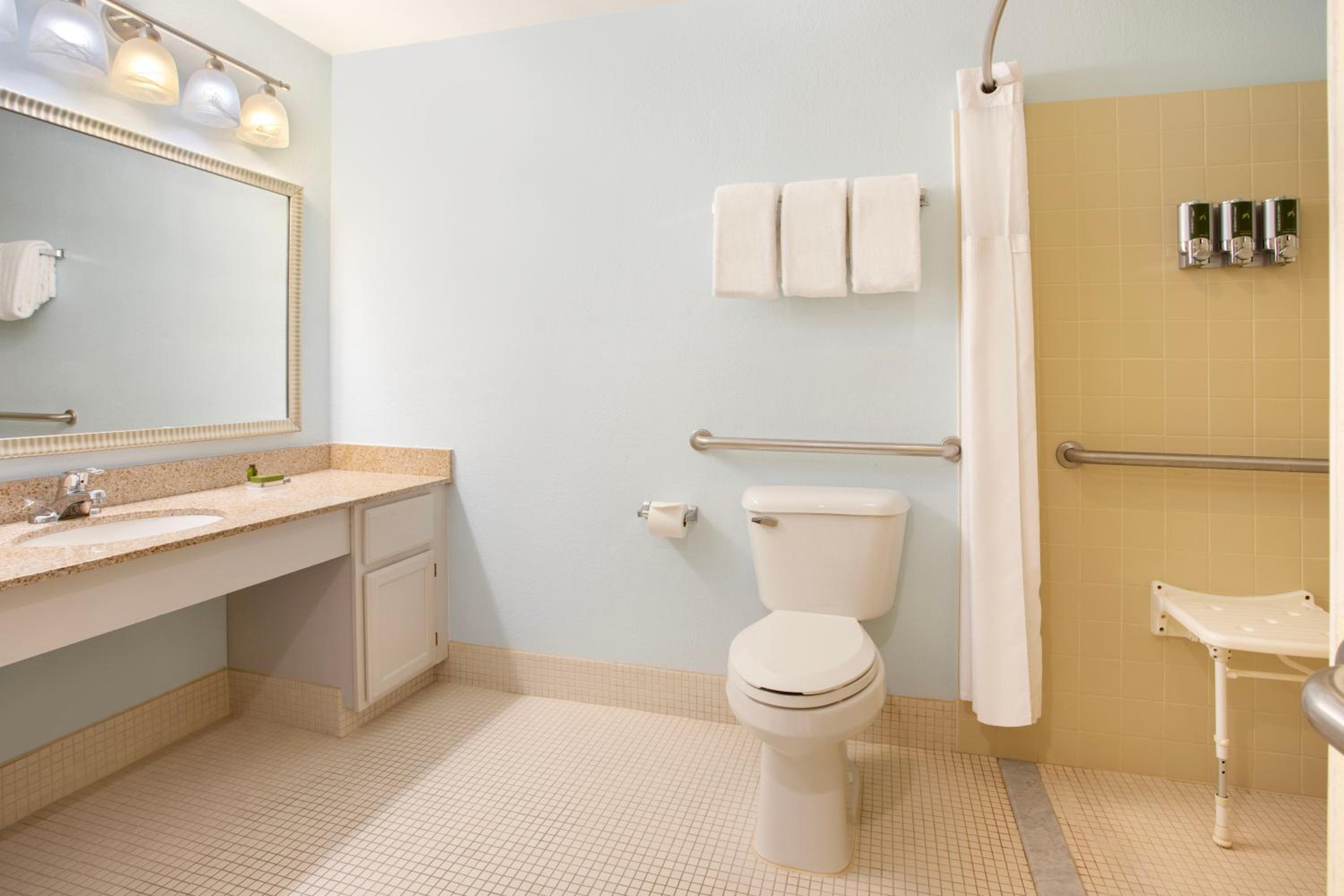 Studio Suite Queen Fireplace Mobility Accessible Shower