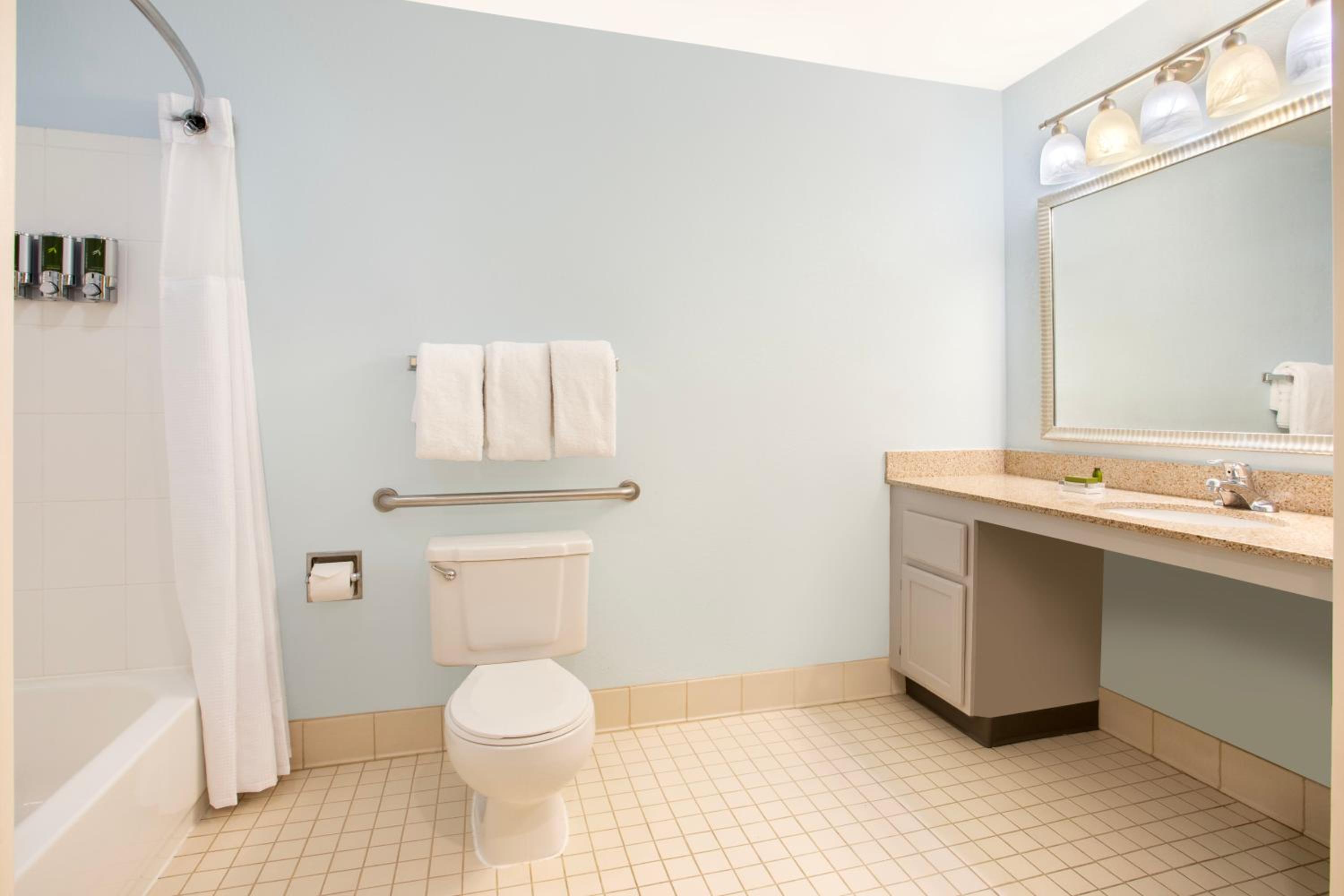 Studio Suite Queen Fireplace Mobility Accessible Tub