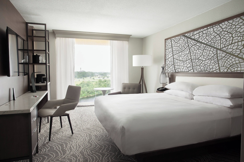 Room, 1 King Bed with Sofa bed