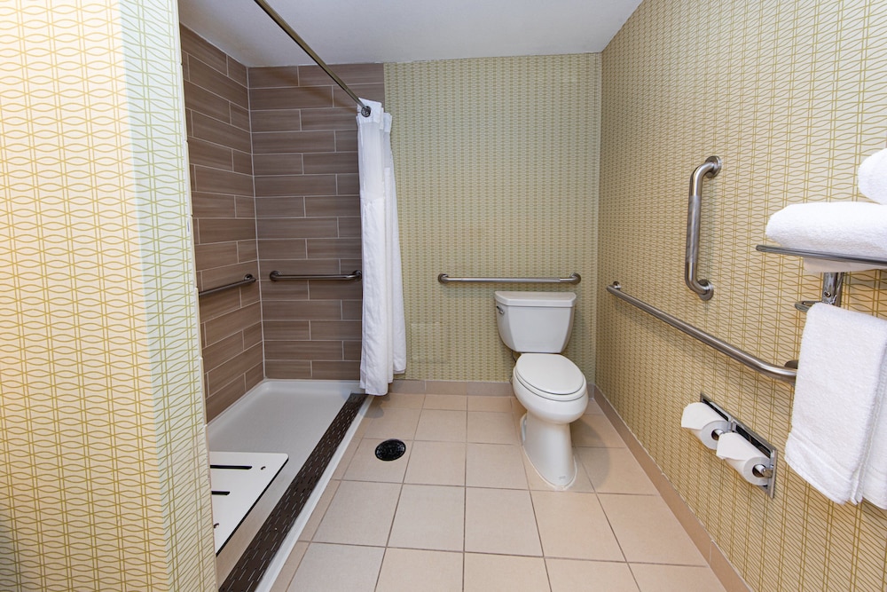 Room, 1 King Bed, Mobility Accessible (Communications, Roll-In Shower)