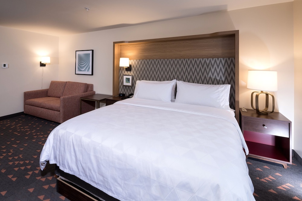 Standard Room, 1 King Bed with Sofa bed (Walk-In Shower)