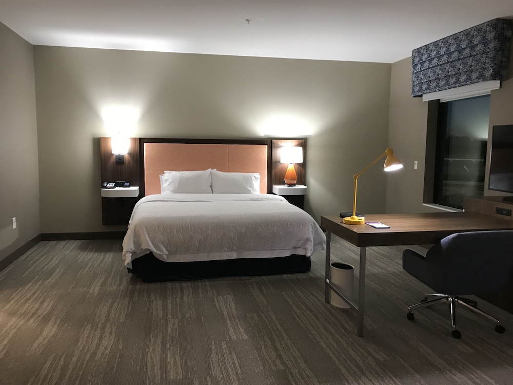 Suite, 1 King Bed, Bathtub