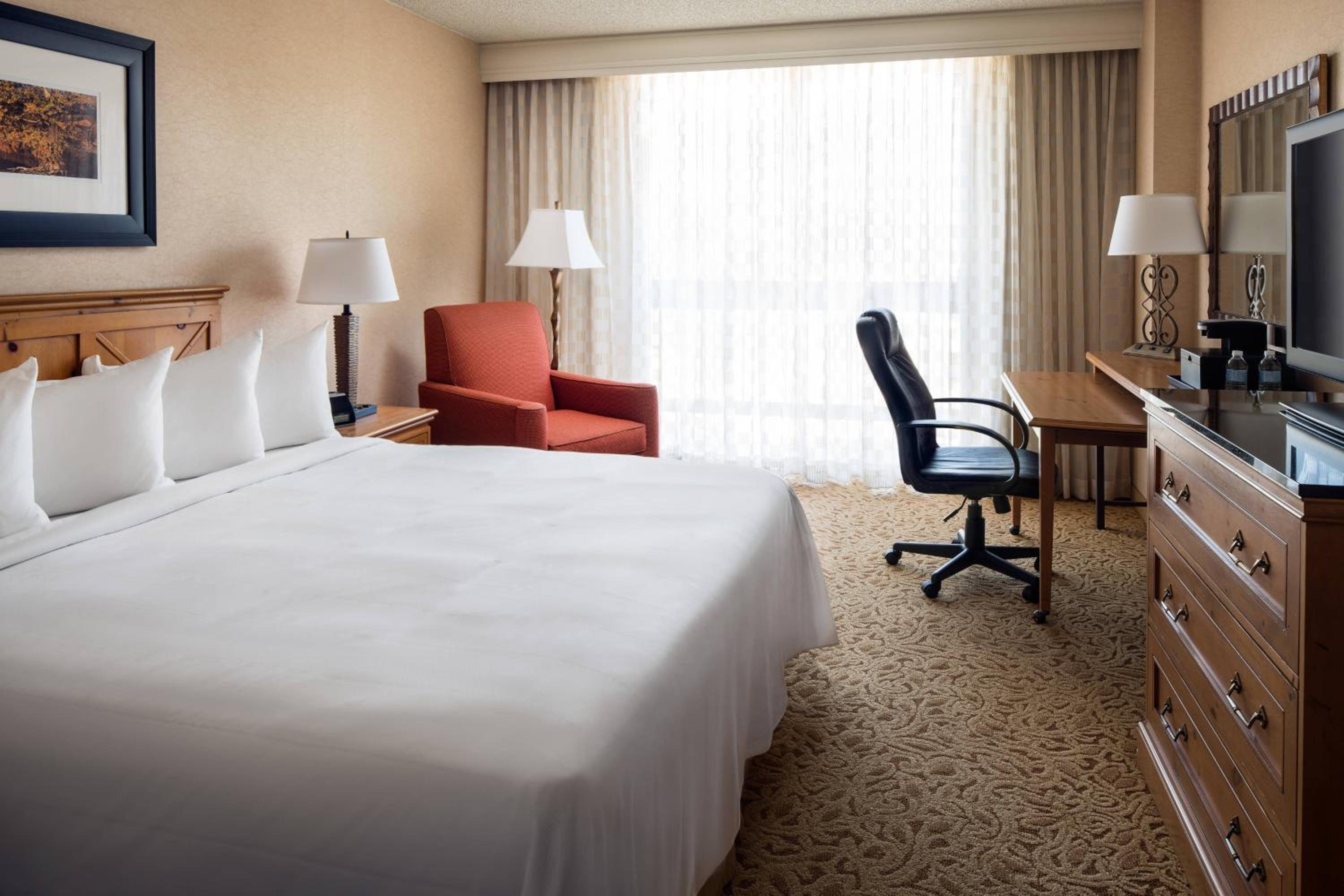 Deluxe King Room - Hearing Accessible