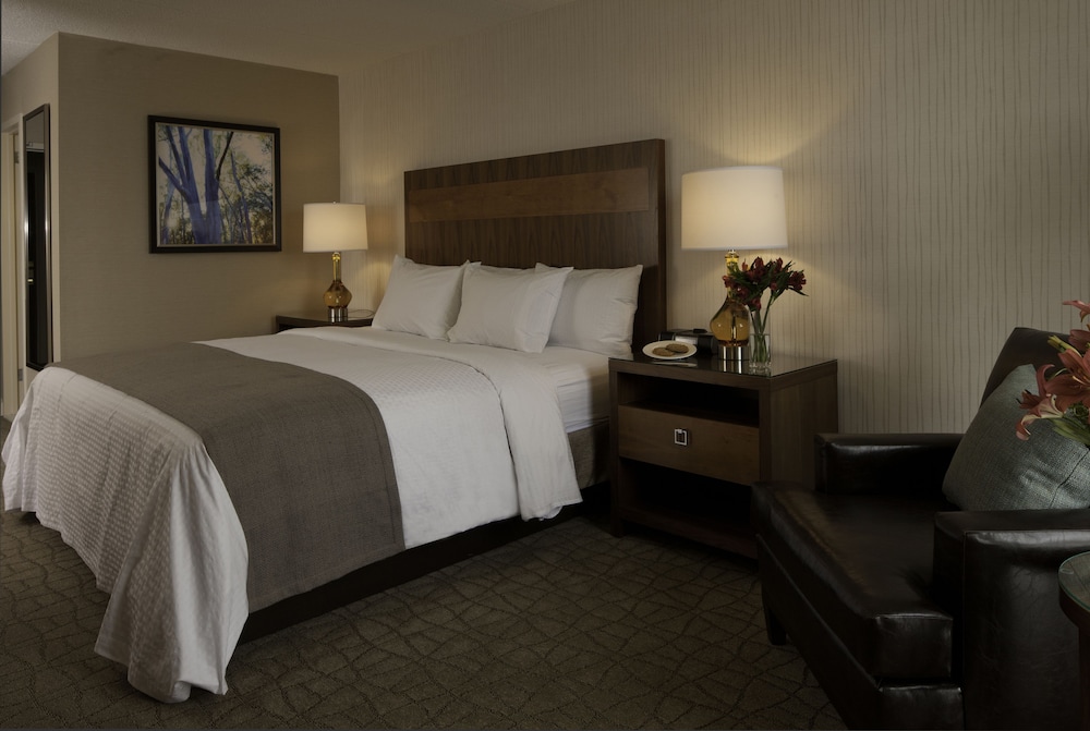Room, 1 King Bed, Accessible, Non Smoking
