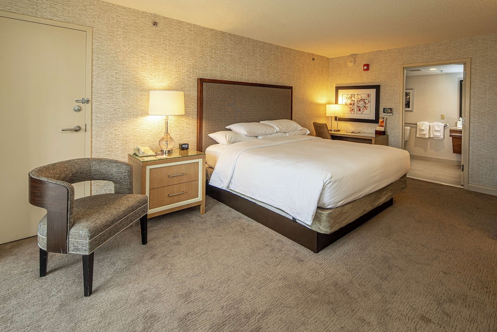 Room, 1 King Bed, Accessible (Roll-in Shower)