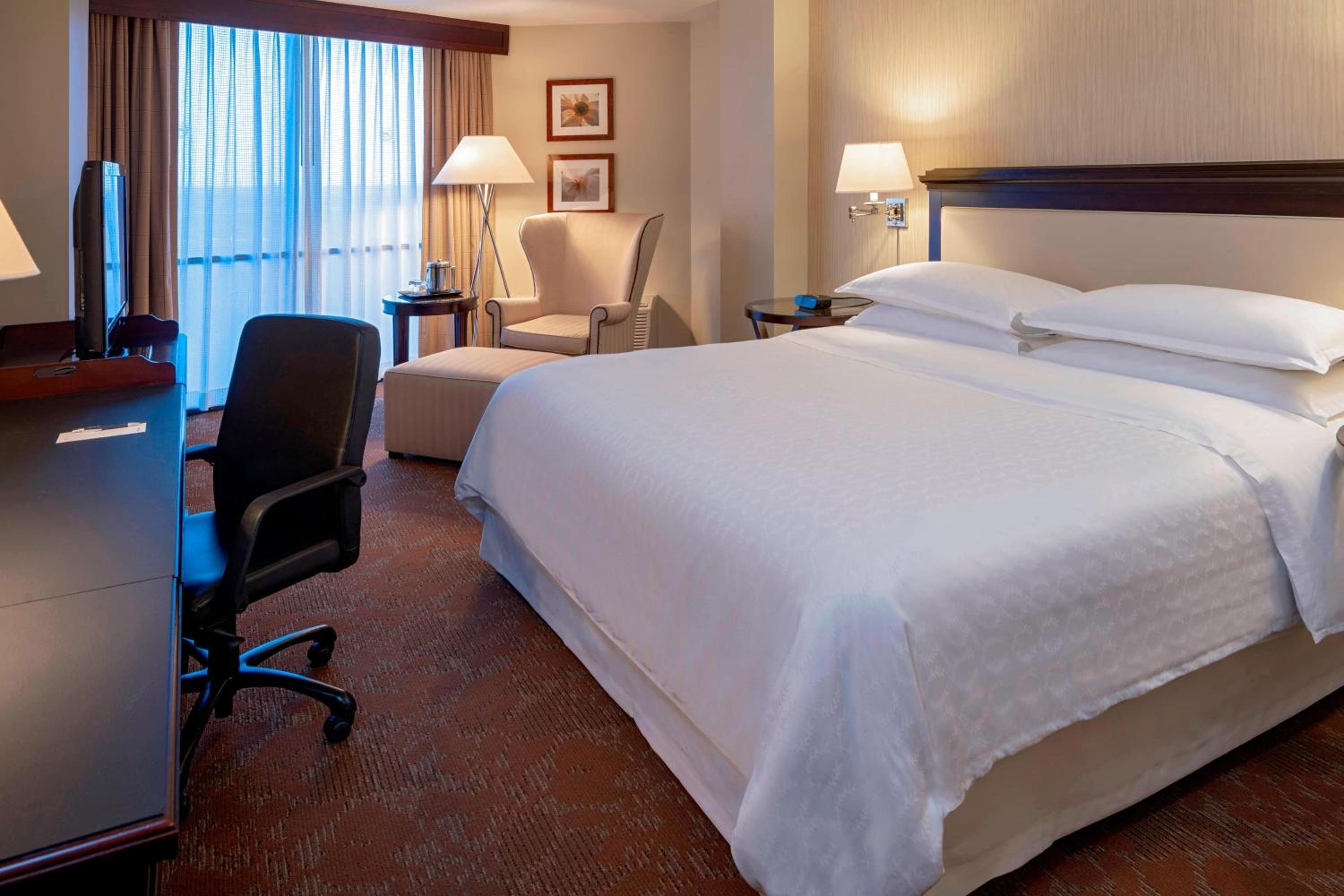 Traditional, Guest room, 1 King