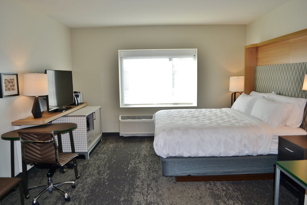 Standard Room, 1 King Bed, Accessible (Communications, Roll-In Shower)