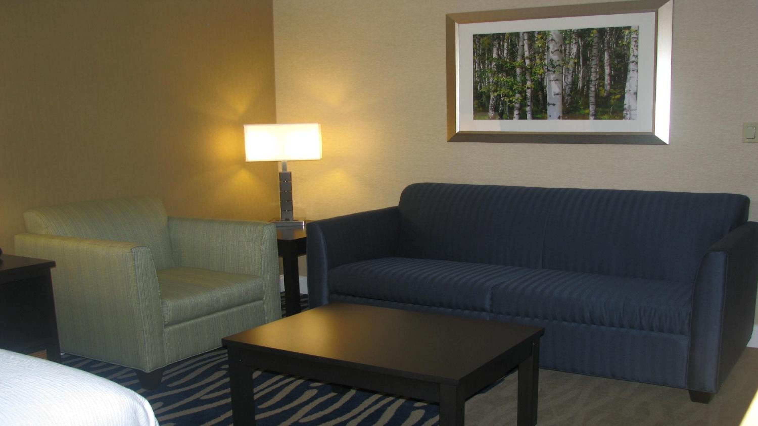 Standard King Room With Sofa Bed - Non-Smoking