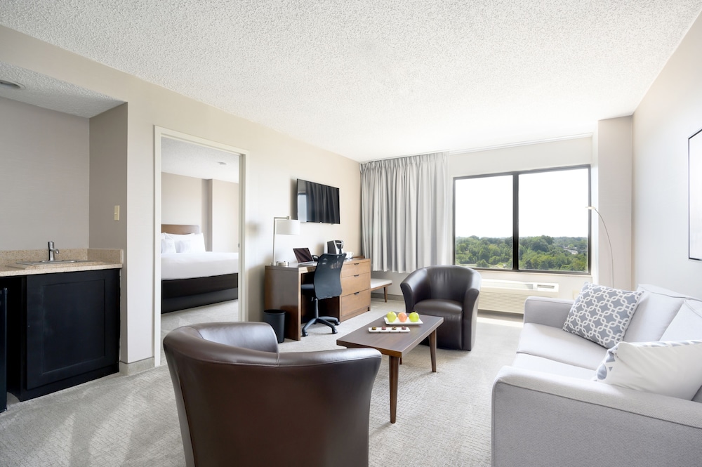 Luxury Suite, 1 King Bed with Sofa bed