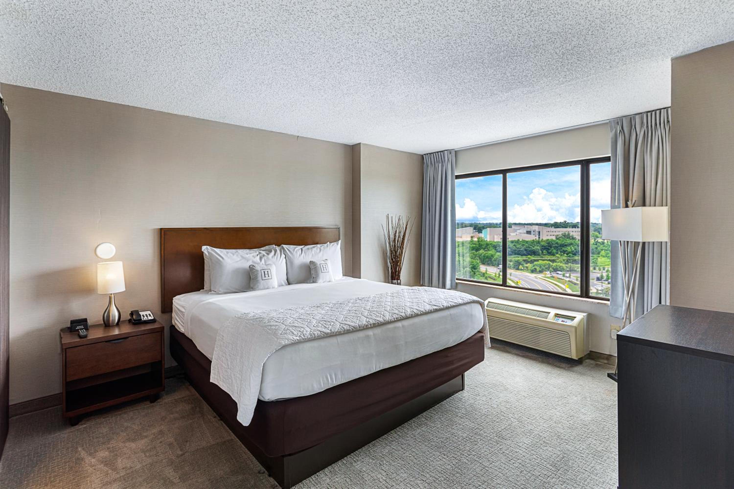 Deluxe King Suite