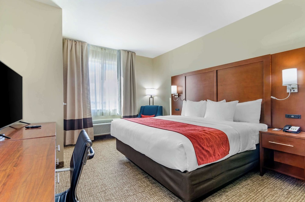 Room, 1 King Bed, Non Smoking (Wet Bar)
