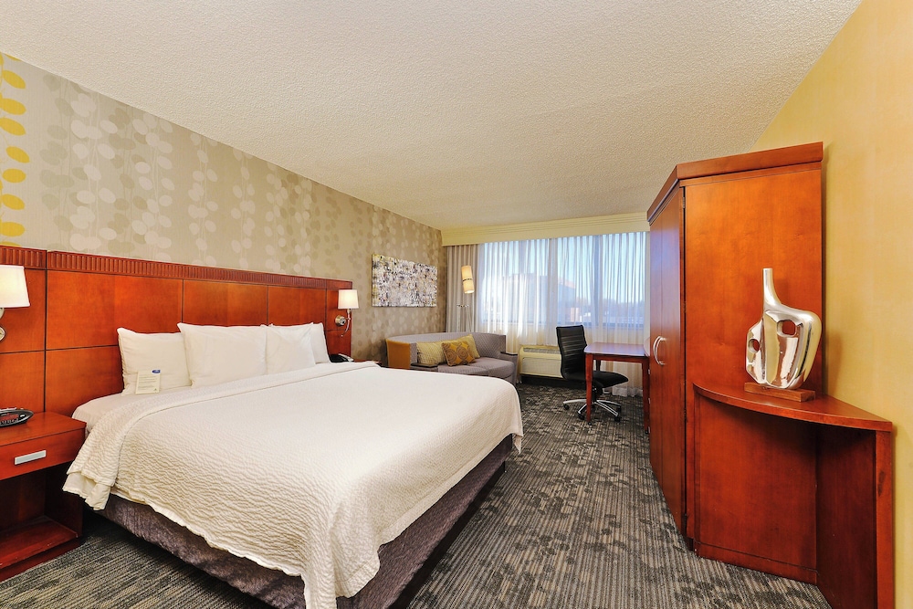 Room, 1 King Bed with Sofa bed (Hearing Accessible)